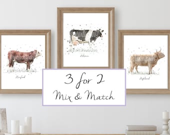 watercolour cow wall art prints, set of cow prints, cow gift, cow painting, cow breeds, highland cow, cattle print, country home decor, farm