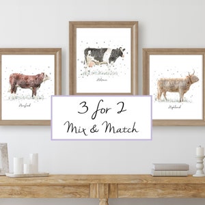 watercolour cow wall art prints, set of cow prints, cow gift, cow painting, cow breeds, highland cow, cattle print, country home decor, farm