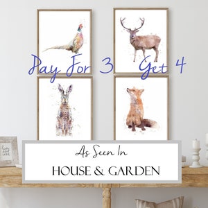 WATERCOLOUR SET OF wildlife animal prints, british wildlife wall art, hare fox badger hedgehog stag pheasant portrait, woodland animals farm