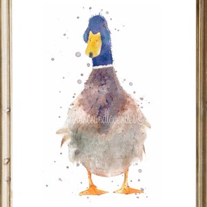 watercolour duck prints, duck painting, duck gifts, set of duck prints, duck wall art, country home decor, wildlife animal prints, duck art image 2