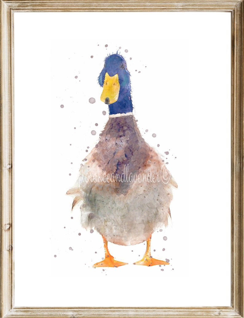 watercolour duck prints, duck painting, duck gifts, set of duck prints, duck wall art, country home decor, wildlife animal prints, duck art image 2