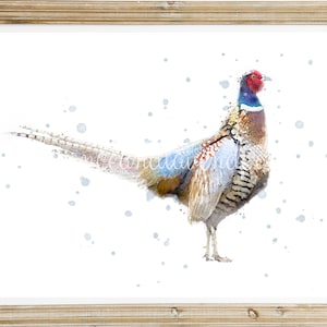 May include: A watercolor painting of a pheasant with a red head, blue neck, and brown and white feathers. The pheasant is standing on a white background with blue watercolor splatters.