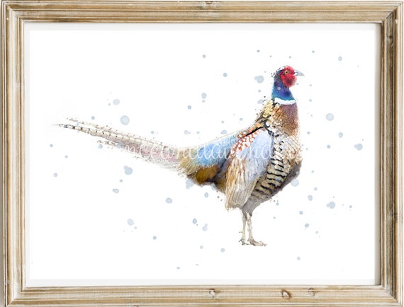 watercolour pheasant print, pheasant painting, game bird wall art, pheasant pictures, country home decor, country art prints, pheasant gift