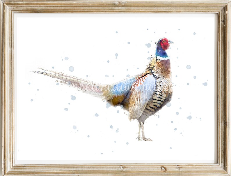 May include: A watercolor painting of a pheasant with a red head, blue neck, and brown and white feathers. The pheasant is standing on a white background with blue watercolor splatters.