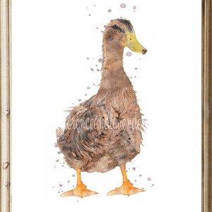 watercolour duck prints, duck painting, duck gifts, set of duck prints, duck wall art, country home decor, wildlife animal prints, duck art image 6