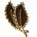 see more listings in the Brooches/Barrettes/Clips section