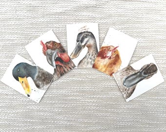 ACEO, original chicken and duck watercolor, 2.5x3.5, funny duck art, funny chicken art