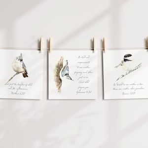 May include: Three square watercolor prints of birds hanging from a string with wooden clothespins. Each print features a different bird perched on a branch, with handwritten script below. The prints are against a white background.