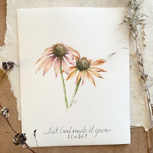 Original watercolor painting/ 1 Corinthians 3:6-7/ Echinacea cone flower/ solid poplar wood gallery frame/ minimalist art/ botanical art