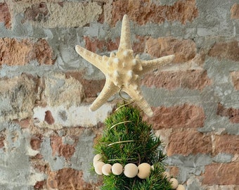 Starfish Christmas Star Tree Topper / Pencil or Knobby with Wire Spiral Base / Beachy Boho Simple Xmas Tree Topper from Real Starfish Shells