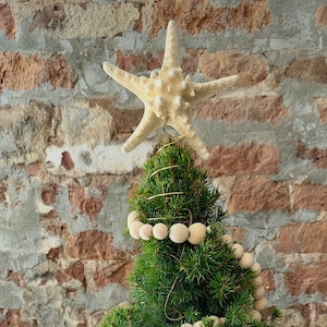 Starfish Christmas Star Tree Topper / Pencil or Knobby with Wire Spiral Base / Beachy Boho Simple Xmas Tree Topper from Real Starfish Shells