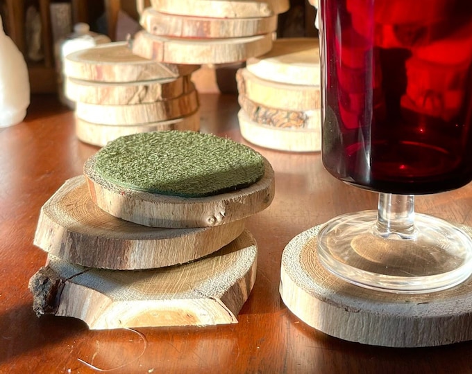 Set of 4 Driftwood Slice Coasters with Reclaimed Suede Bottoms / Natural Coaster Set from Wood & Leather / Housewarming Gift for Home