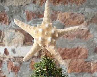 Knobby Starfish Christmas Tree Topper: Beachy Boho Xmas Decor from Real Sea Star