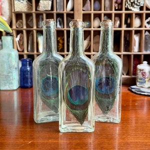 Antique Peacock Feather Bottle: Vintage Curiosity Cabinet Decor