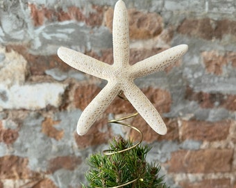 Pencil Starfish Christmas Tree Topper: Beachy Boho Xmas Decor from Real Sea Star