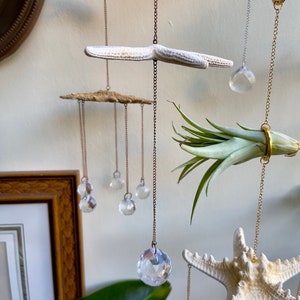 Starfish Suncatcher: Beachy Prism Air Plant Hanger
