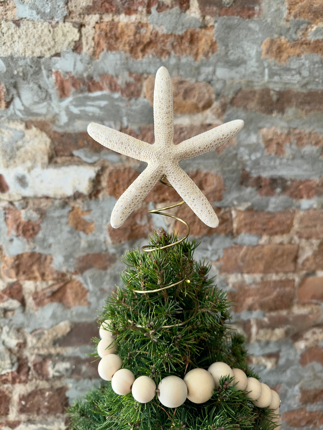 Pencil Starfish Christmas Tree Topper: Beachy Boho Xmas Decor From Real ...