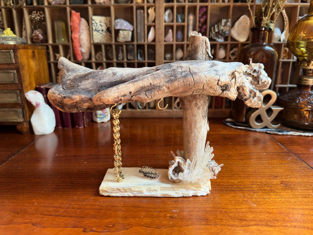 Driftwood Pinterest Jewelry Display Diy Jewelry Display Board Cork