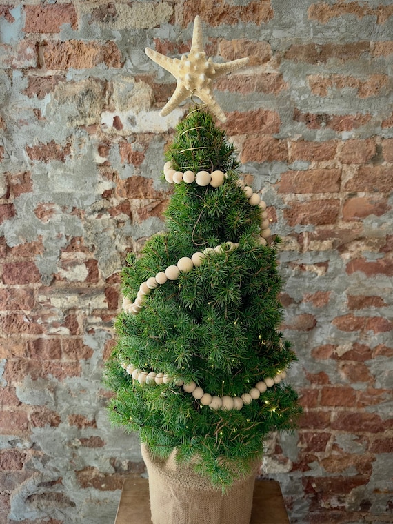 貝殻　ヒトデ　オーナメント　ナチュラル　クリスマス　クリスマスツリー　飾り　海 貝殻 ヒトデ オーナメント ナチュラル クリスマス クリスマス