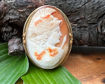 May include: A cameo brooch featuring a detailed carving of a woman's profile wearing a helmet, set in a gold-toned oval frame.