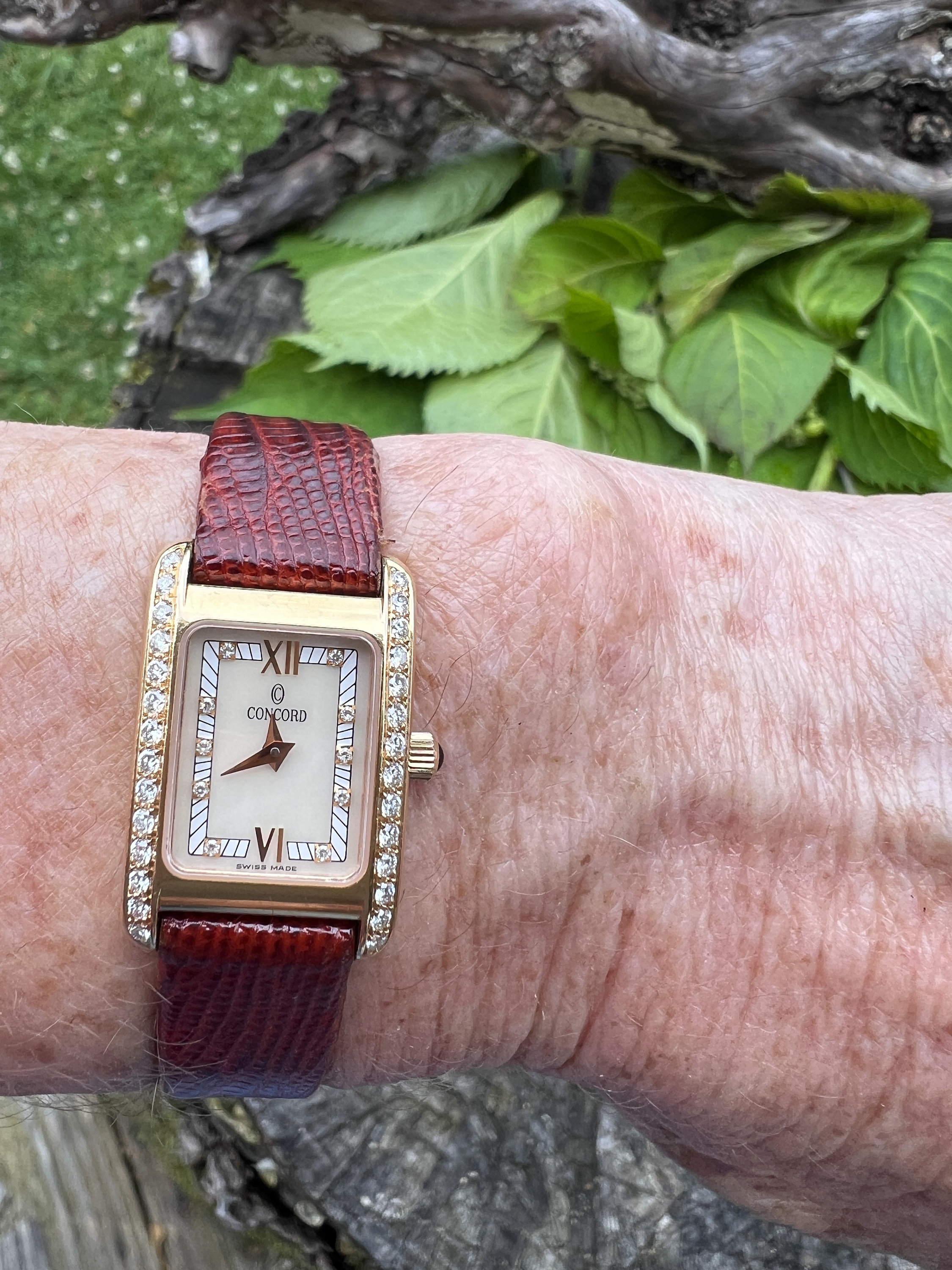 Concord Diamond Watch Concord Watch Etsy UK