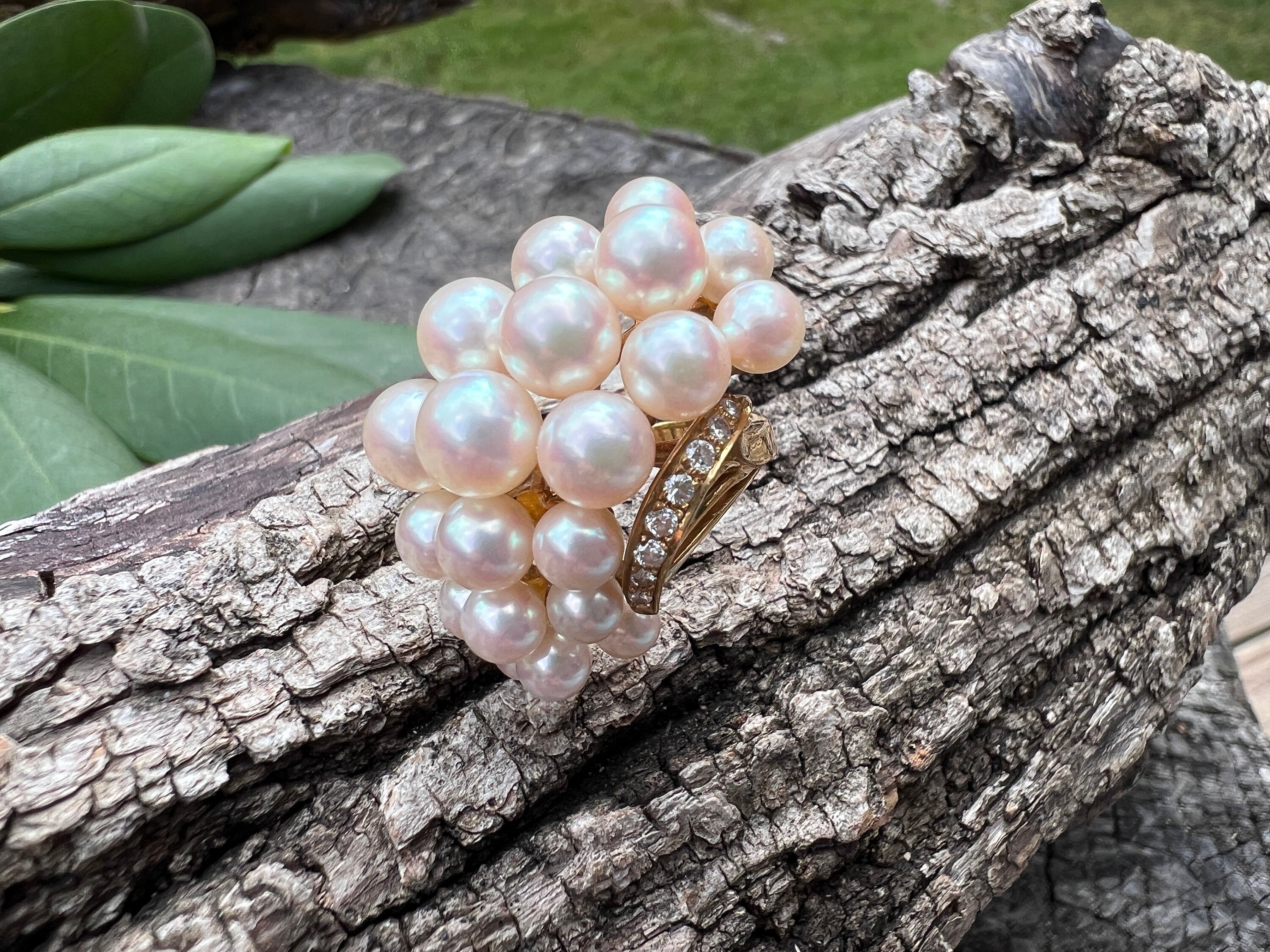 Mikimoto ring price sale