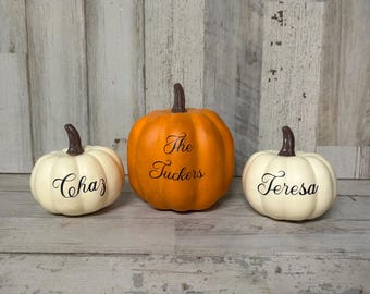 Mini Personalized Pumpkins, Custom pumpkins,  Fall Decorations, Fall Pumpkins,  Farmhouse Decor, Fall Tiered Tray Fille, Family Pumpkins