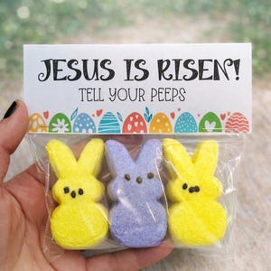 Jesus Is Risen Tell Your Peeps Goodie Treat Bag Topper Tags Printable Instant Digital Download PDF File image 8