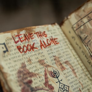 May include: Open book with aged, parchment-like pages. The words "LEAVE THIS BOOK ALONE" are written in red, blood-like ink. The pages are filled with cryptic symbols and text, with illustrations on the right page.