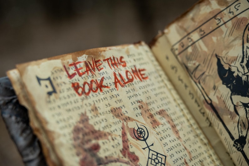 May include: Open book with aged, parchment-like pages. The words "LEAVE THIS BOOK ALONE" are written in red, blood-like ink. The pages are filled with cryptic symbols and text, with illustrations on the right page.