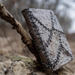 May include: A weathered, gray book with black stitching across the cover, resting on a tree branch. The book's cover has a textured appearance, and the stitching forms a cross-like pattern. The background is blurred, suggesting an outdoor setting.