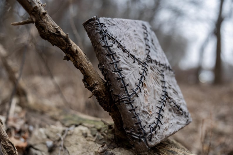 May include: A weathered, gray book with black stitching across the cover, resting on a tree branch. The book's cover has a textured appearance, and the stitching forms a cross-like pattern. The background is blurred, suggesting an outdoor setting.