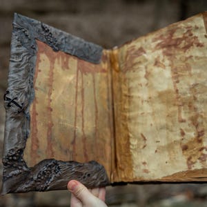 May include: An open, aged book with weathered pages and a dark, textured cover. The pages have reddish-brown stains, and the cover has a rough, organic appearance. The book is held open, revealing the interior details.