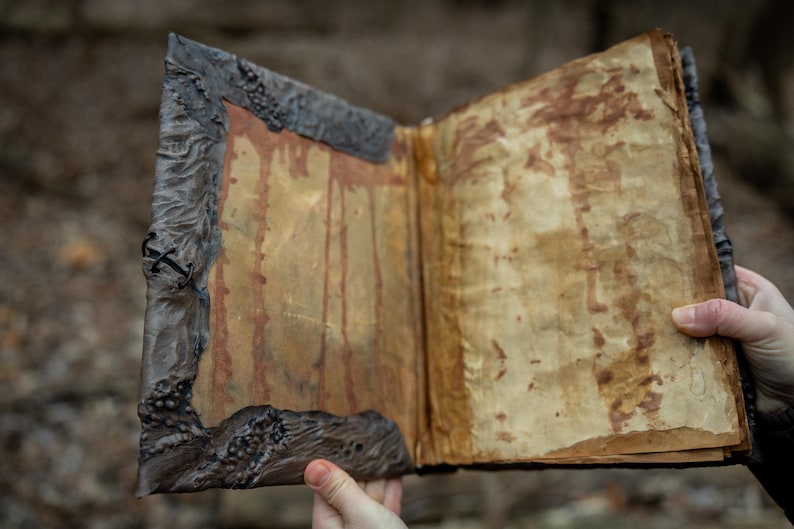 May include: An open, aged book with weathered pages and a dark, textured cover. The pages have reddish-brown stains, and the cover has a rough, organic appearance. The book is held open, revealing the interior details.