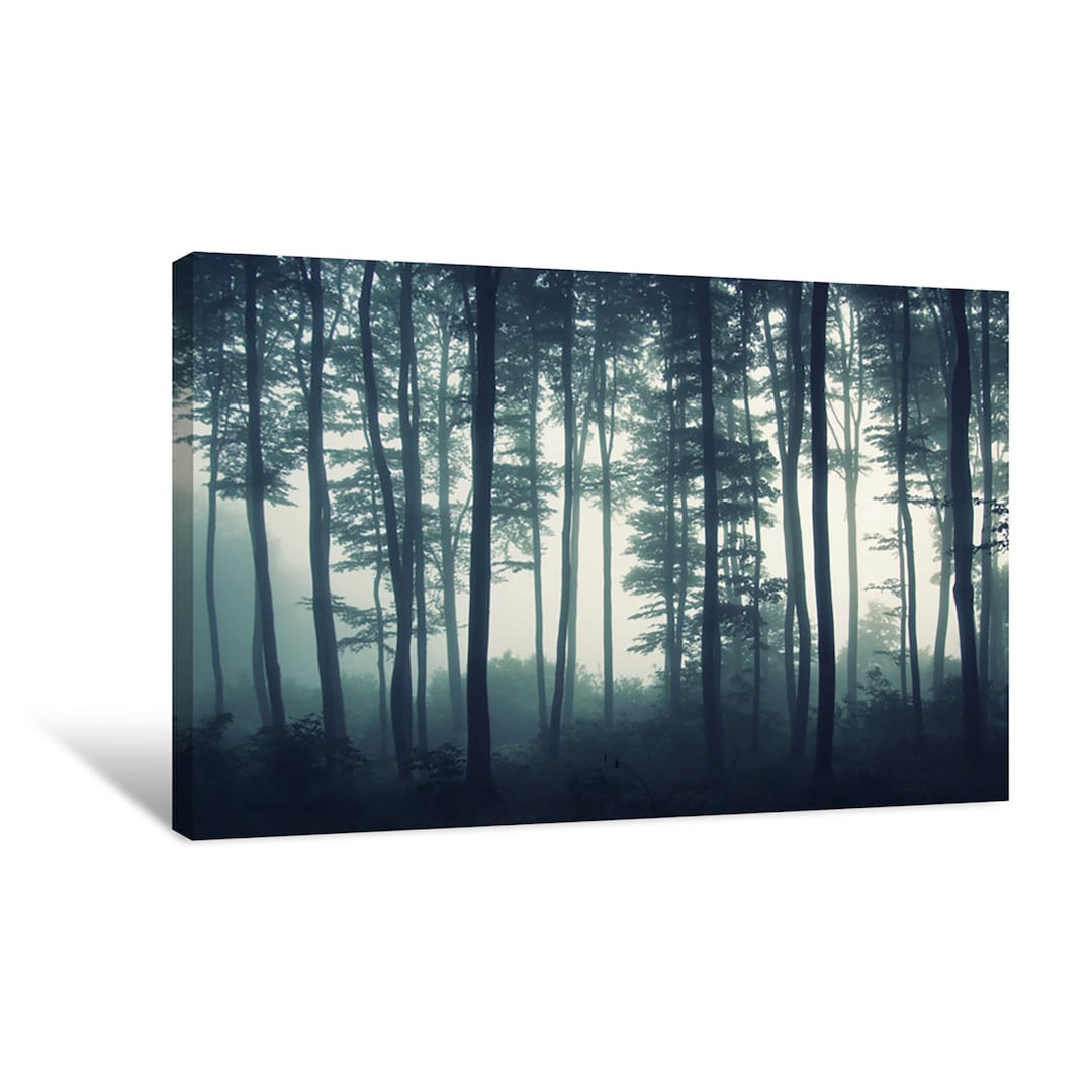 Misty Forest With Dark Trees Canvas Wall Art | Décor for Home & Office ...