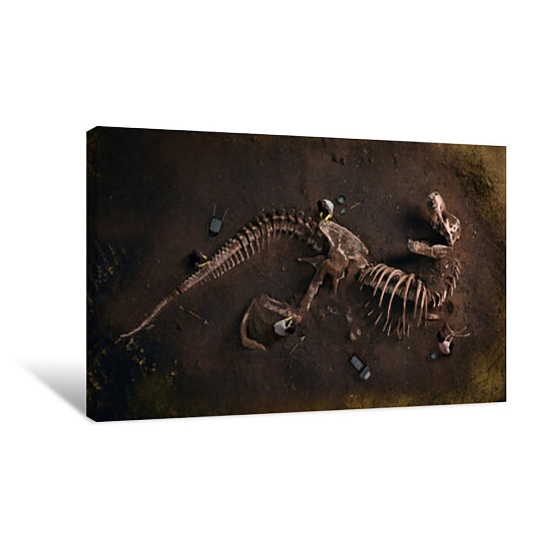 Ancient Trex Dinosaur Fossil Canvas Print Wall Art Décor for Home & Office Limitless Walls Etsy