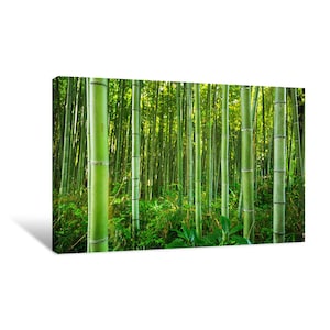 Kyoto Bamboo Forest Canvas Wall Art | décor for home & office | canvas ready to hang | canvas prints | large wall art