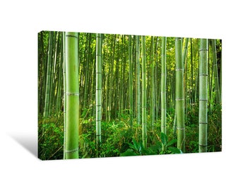 Kyoto Bamboo Forest Canvas Wall Art | décor for home & office | canvas ready to hang | canvas prints | large wall art
