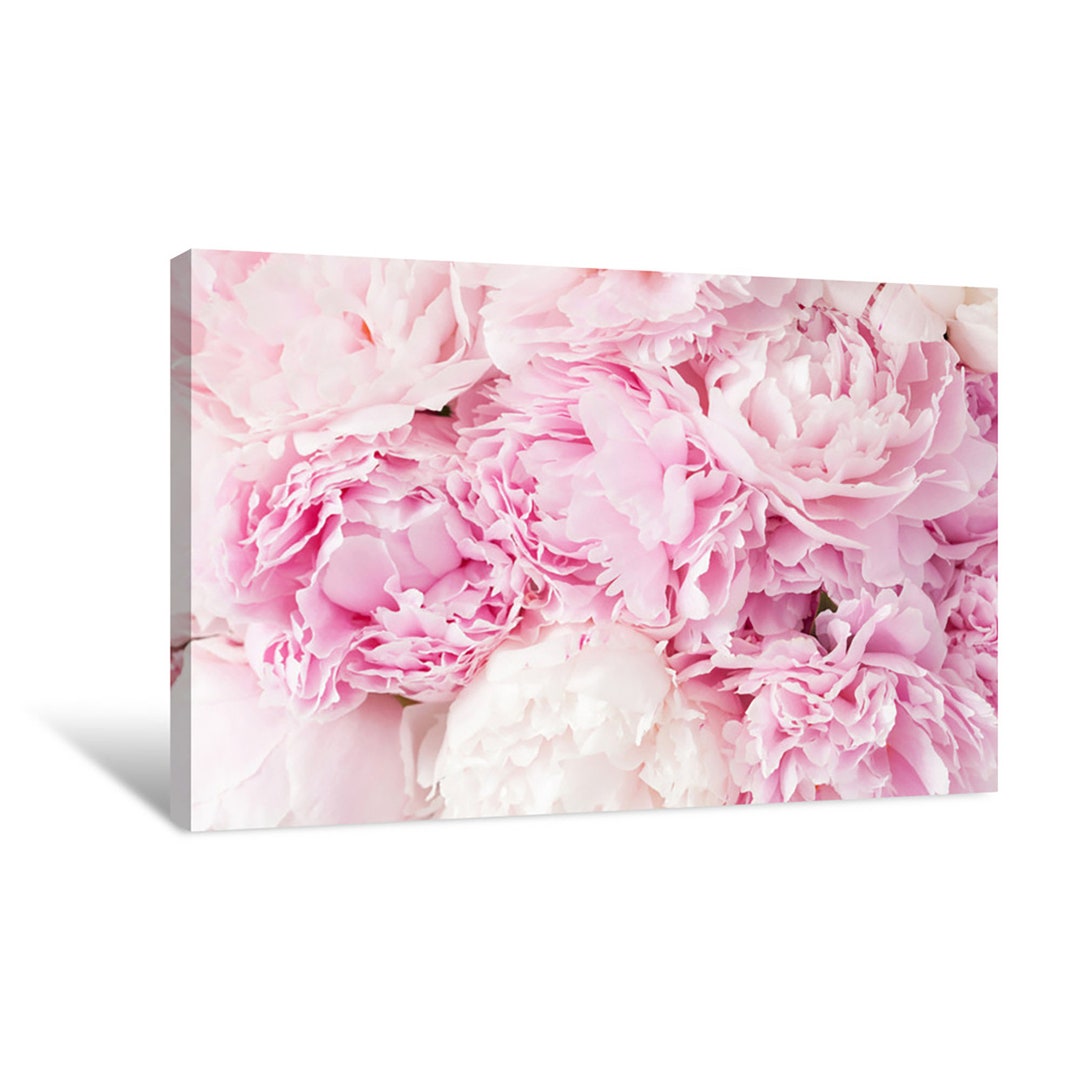 Pink Peony Flower Canvas Print Wall Art | Décor for Home & Office ...
