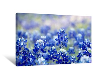 Bluebonnet Flowers Canvas Print Wall Art | décor for home & office | Limitless Walls