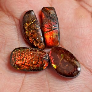 Canadian Ammolite Natural Ammolite AAA+ Quality Gemstone Unique Cabochon Hand Polished gemstone Cabochon For Jewelry Making Lot
