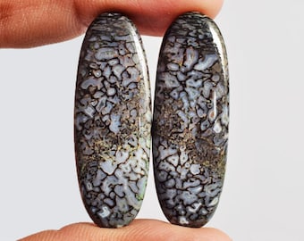 Earring Pair AG-11096 Awesome Pear Shape Utah Dinosaur Bone Pair Cabochon Size 25x11x3.5 MM