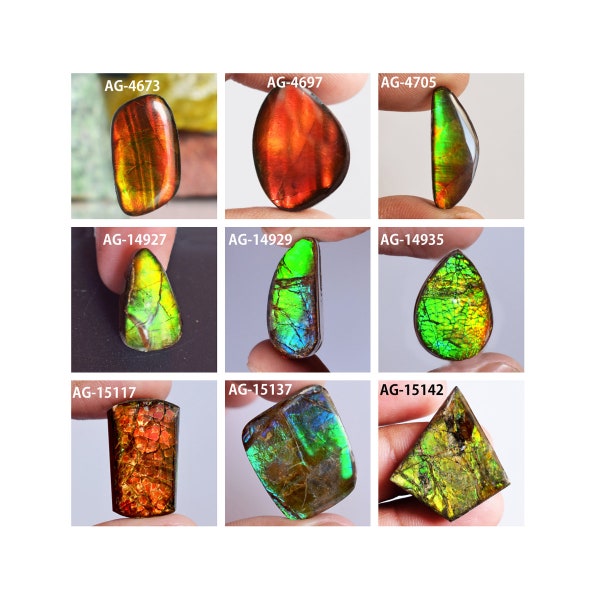 Natural Canadian Ammolite Cabochon Rainbow Flash Pendant Jewelry Making Ammolite fossil Gemstone Flashy Stimulates Progress And Energy