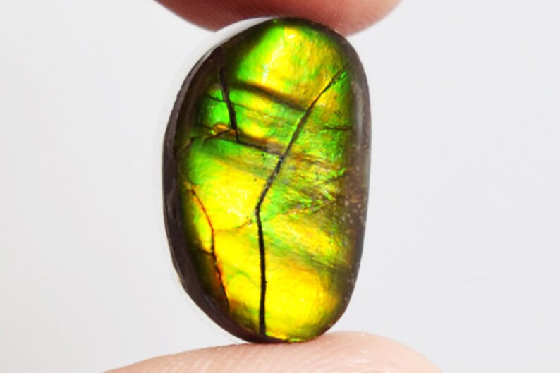 U Group Blue Ammolite Ammonite Your Choice Pick One Ready to Make Jewelry U Group Blue Ammolite Ammonite Your Choice Pick One Ready to Make Jewelry