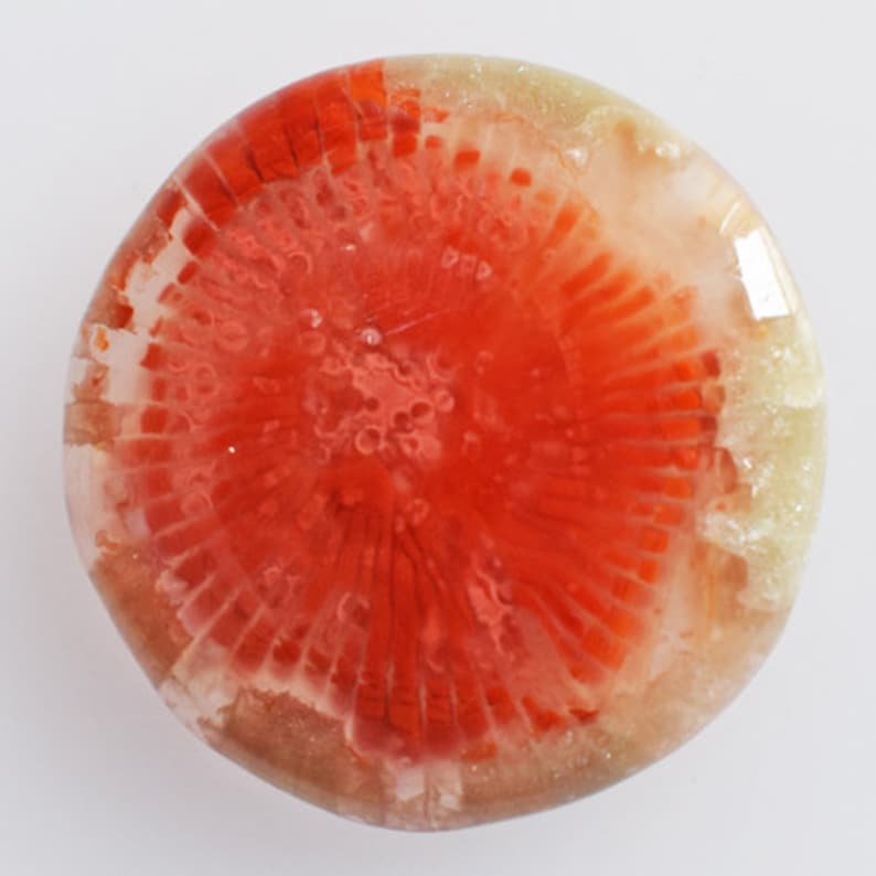 Size 24x24x4 MM Agatized Round Shape Fossil Coral AG-11593 Natural Utah Red Horn Coral Cabochon Jewellery Making Stone For Pendant