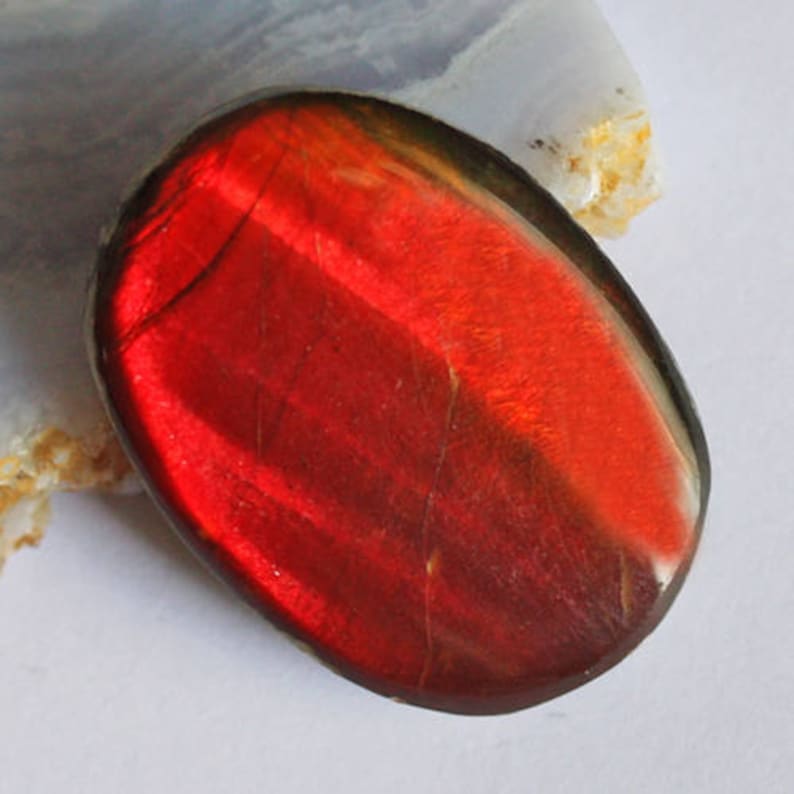 Wholesale Gemstone Pendant Cabochon Craft Suppliers AG-5853 Size 30X21X5 MM Red Flashy Ammonites Awesome Genuine Ammolite Oval Cabochon