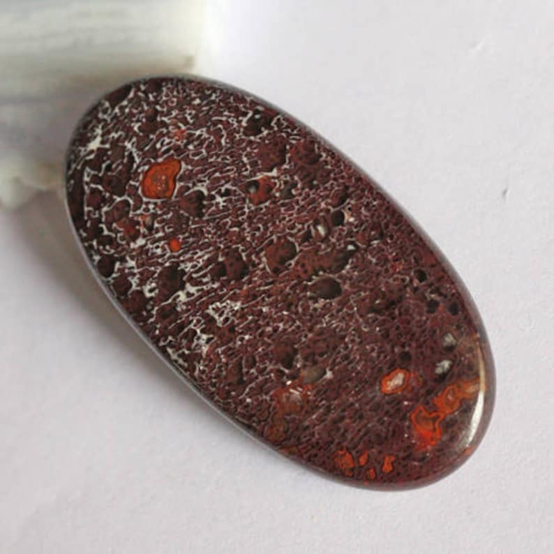 Fabulous Red Dinosaur Bone Oval Cabochon From Utah Jewelry Making Gemstone AG-5652 Fossilized Bone Supplier Hand Cut Petrified Dino Bone