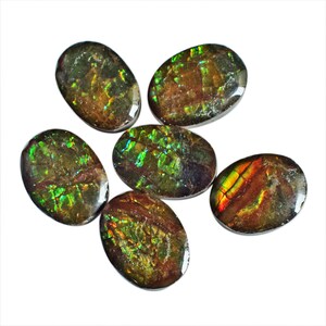 Natural Ammolite Cabochon Lot 6 Pcs Colorful Oval Ammolite Loose Gemstones for Jewelry Making Supplies, Polished Fire Ammolite Stones
