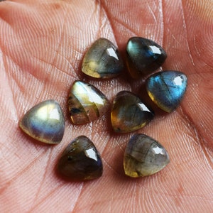 Blaue Blitz-Labradorit-Cabochons, Trillion-Form-Labradorit-Edelstein-Lot, Labradorit-loser Stein für die Schmuckherstellung, 3 MM bis 25 MM AAA-Qualität