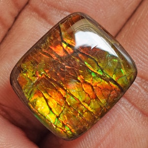 Natural Fire Ammolite Cabochon, Polished Loose Canadian Ammolite Gemstone for Jewelry Making,AAA Grade Polished Ammolite,Rare Iridescent Gem